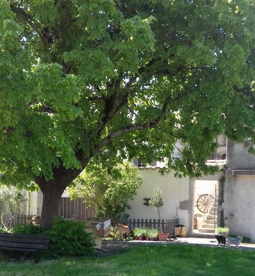 Le Patio Aux Hirondelles Villa Lagorce  Kültér fotó