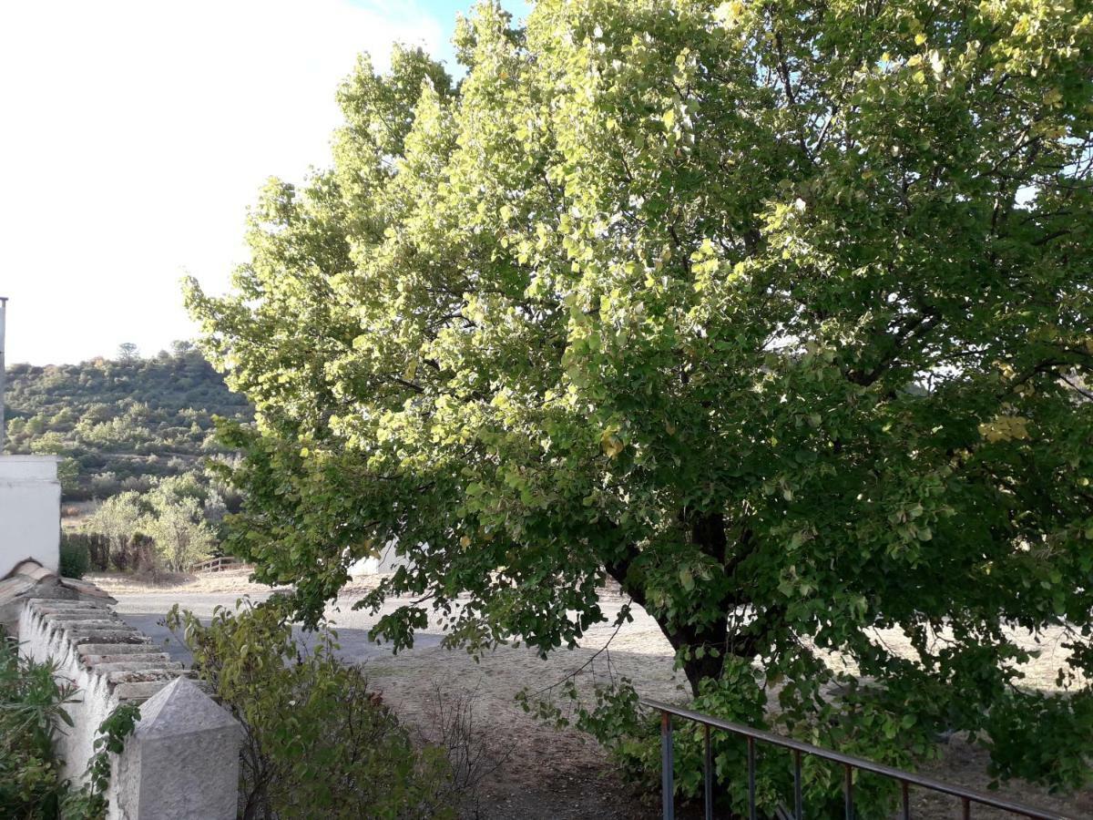 Le Patio Aux Hirondelles Villa Lagorce  Kültér fotó