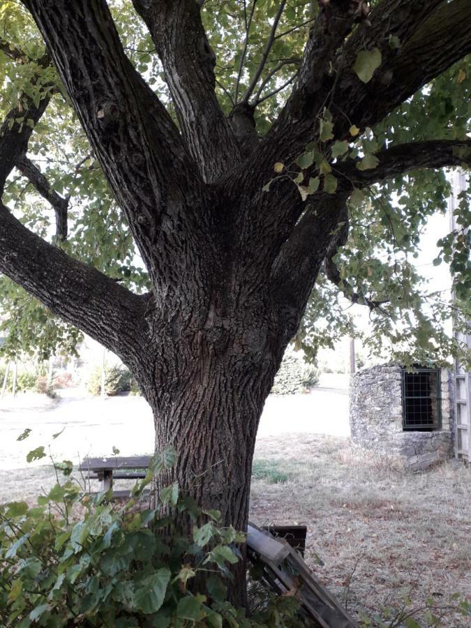Le Patio Aux Hirondelles Villa Lagorce  Kültér fotó